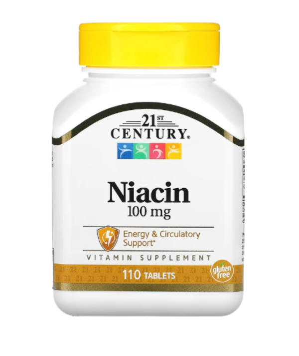 21st Century, Niacin, 100 mg, 110 Tablets