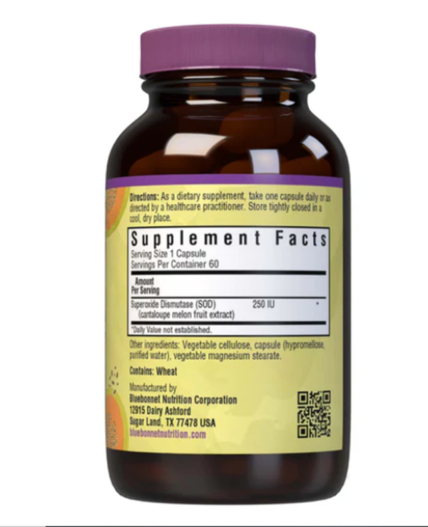 Bluebonnet Nutrition, Super Fruit, Vegetarian SOD, Cantaloupe Fruit Extract, 250 IU, 60 Vegetable Capsules