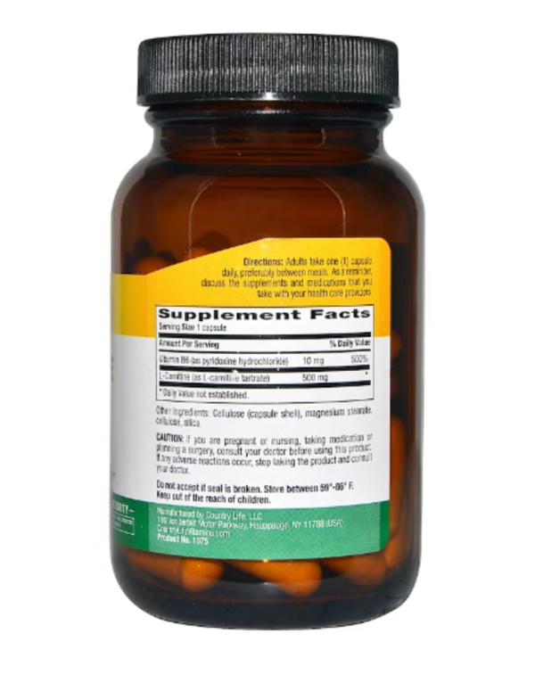 Country Life, L-Carnitine Caps, 500 mg, 60 Vegan Caps