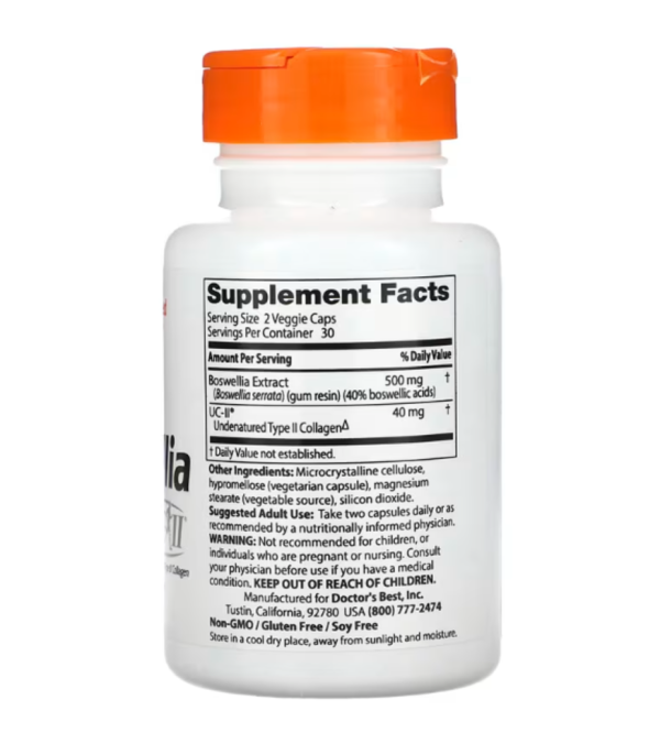 Doctor's Best, Boswellia with UC-II, 60 Veggie Caps