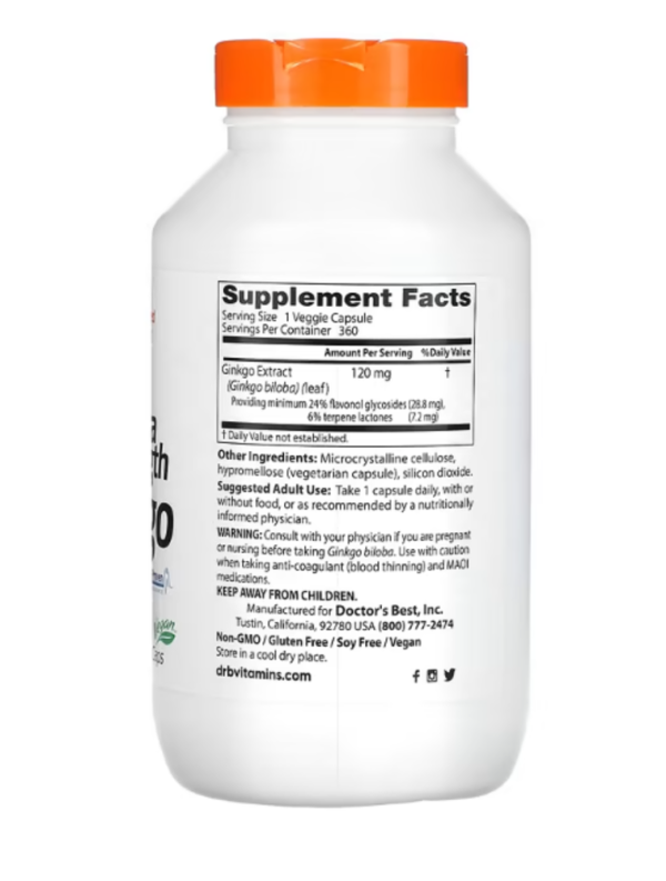 Doctor's Best, Extra Strength Ginkgo, 120 mg, 360 Veggie Caps