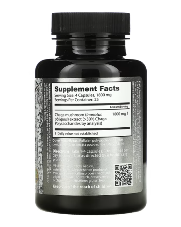 Dragon Herbs ( Ron Teeguarden ), Wild Siberian Chaga, 450 mg, 100 Capsules
