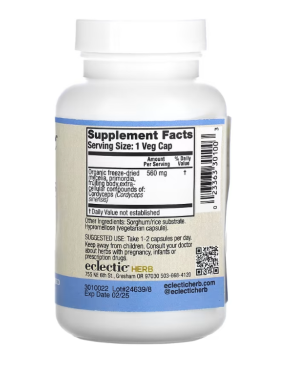 Eclectic Institute, Freeze Dried, Cordyceps, 560 mg, 120 Veg Caps