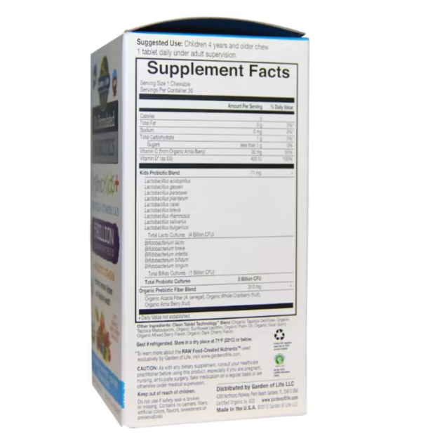 Garden of Life Dr. Formulated Probiotics Organic Kids Plus Berry Cherry -- 5 billion - 30 Yummy Chewables