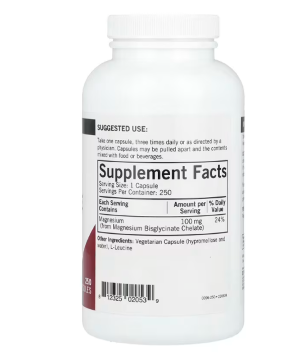 Kirkman Labs, Magnesium Bisglycinate Chelate, 100 mg, 250 Capsules