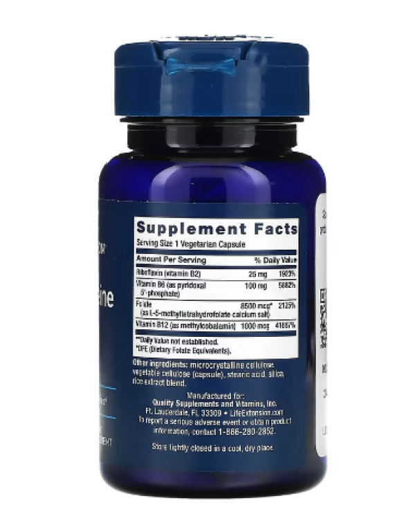 Life Extension, Homocysteine Resist, 60 Vegetarian Capsules