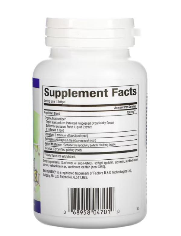 Natural Factors, Anti-V Formula, with Clinically Proven Echinamide, 120 Softgels