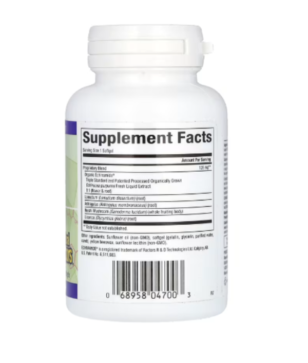 Natural Factors, Anti-V Formula, with Clinically Proven Echinamide, 60 Softgels