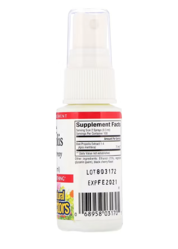 Natural Factors, Bee Propolis, Throat Spray, 1 fl oz (30 ml)