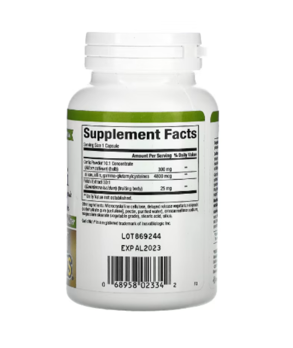 Natural Factors, GarlicRich, Super Strength Garlic + Reishi, 120 Delayed Release Vegetarian Capsules