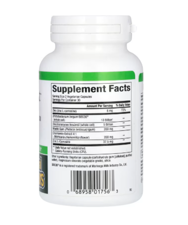 Natural Factors, Gastro-Assist™ with Mastic Gum, Saccharomyces Boulardii & Zinc L-Carnosine, 60 Vegetarian Capsules