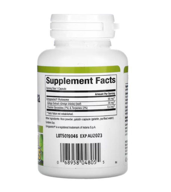 Natural Factors, Ginkgo Biloba, Phytosome, 60 mg, 60 Capsules
