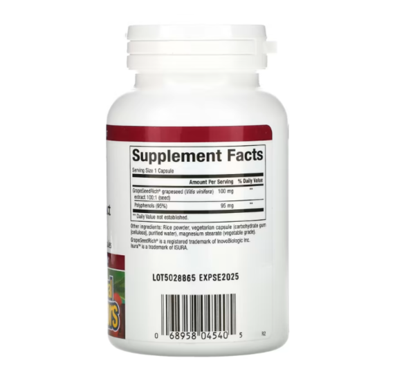 Natural Factors, GrapeSeedRich, Grape Seed Extract, 100 mg, 120 Vegetarian Capsules
