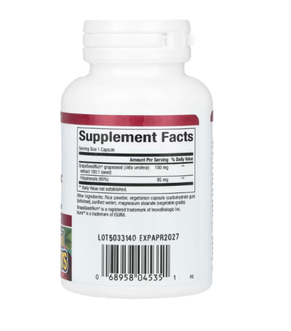 Natural Factors, GrapeSeedRich, Grape Seed Extract, 100 mg, 60 Vegetarian Capsules