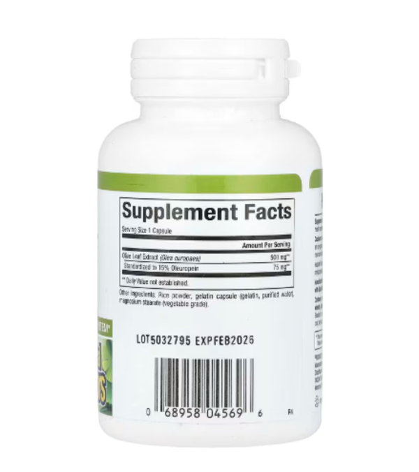 Natural Factors, HerbalFactors, Olive Leaf, 500 mg, 60 Capsules