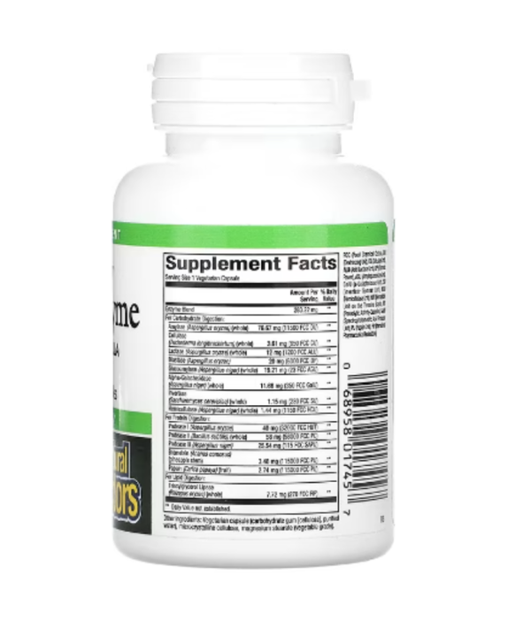 Natural Factors, High Potency Multi Enzyme, 60 Vegetarian Capsules