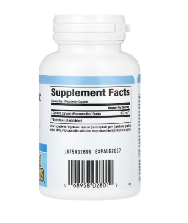 Natural Factors, L-Carnitine, 500 mg, 60 Vegetarian Capsules