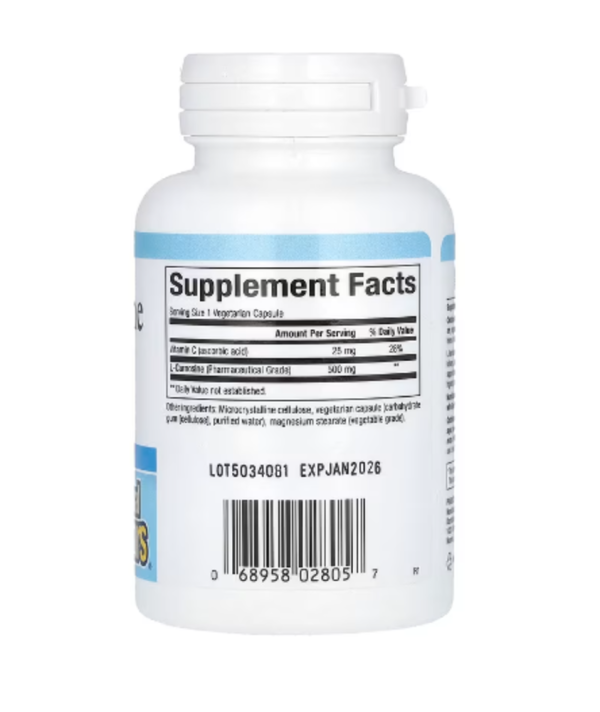 Natural Factors, L-Carnosine, 500 mg, 60 Vegetarian Capsules