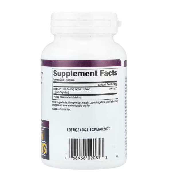 Natural Factors, PeptACE, Fish Peptides, 500 mg, 90 Capsules