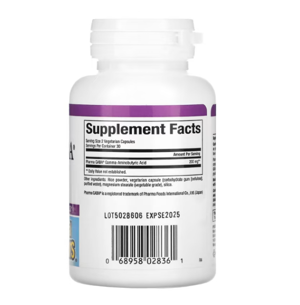 Natural Factors, Stress Relax, Pharma GABA, 100 mg, 60 Vegetarian Capsules