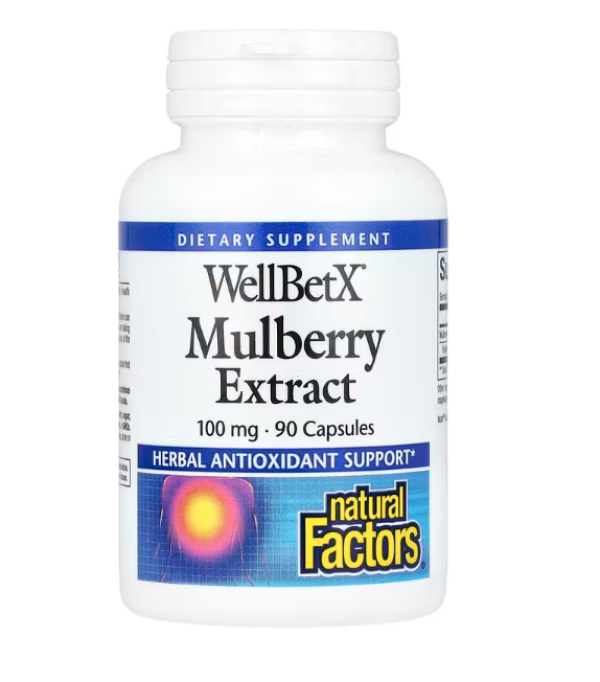 Natural Factors, WellBetX, Mulberry Extract, 100 mg, 90 Capsules