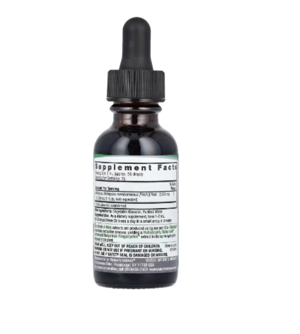 Nature's Answer, Astragalus Root, Fluid Extract, Alcohol-Free, 2,000 mg, 1 fl oz (30 ml)
