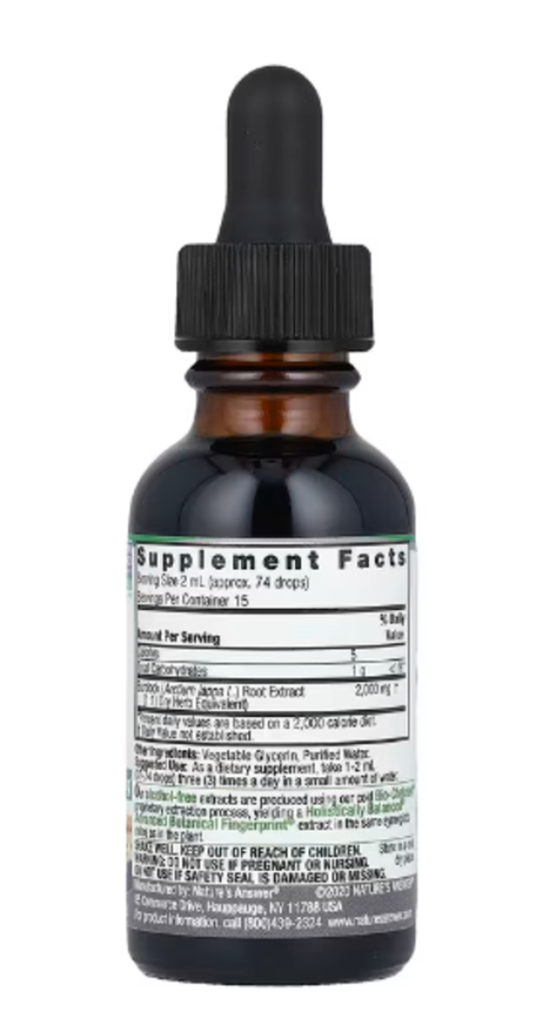 Nature's Answer, Burdock Root Fluid Extract, Alcohol-Free, 2,000 mg, 1 fl oz (30 ml)