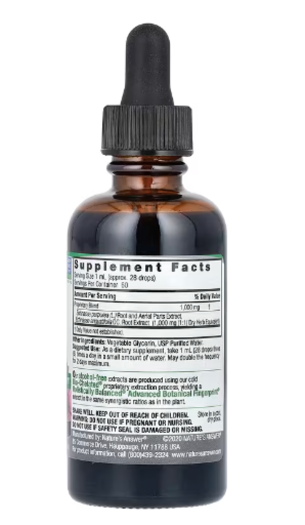 Nature's Answer, Echinacea, Alcohol-Free, 1000 mg, 2 fl oz (60 ml)