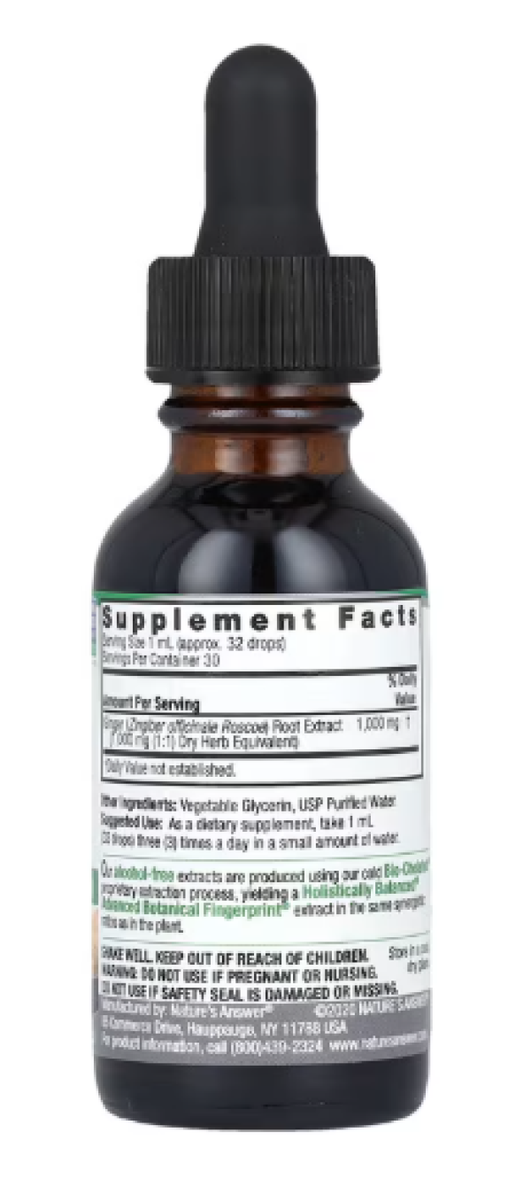 Nature's Answer, Ginger Root, Fluid Extract, Alcohol-Free, 1,000 mg, 1 fl oz (30 ml)