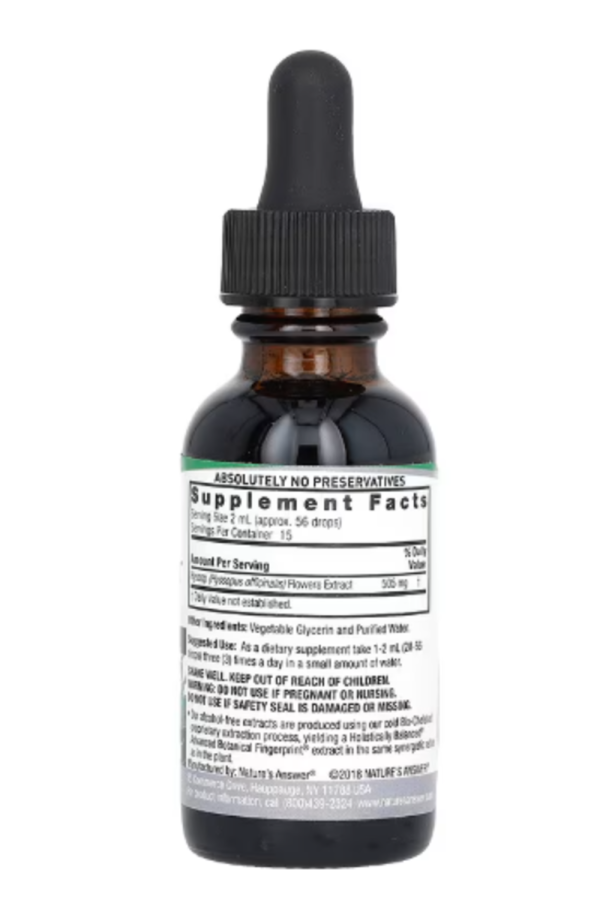 Nature's Answer, Hyssop Flower Extract, Alcohol-Free, 2,000 mg , 1 fl oz (30 ml)