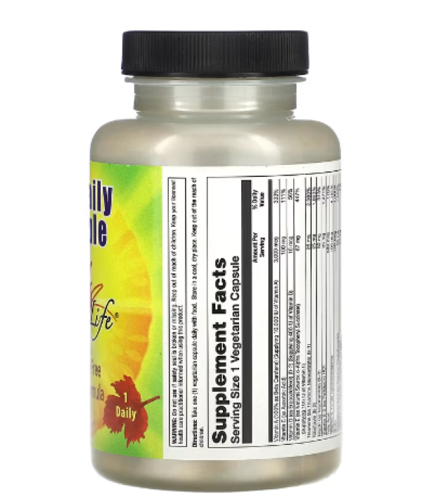 Nature's Life, One Daily Multiple, 60 Vegetarian Capsules