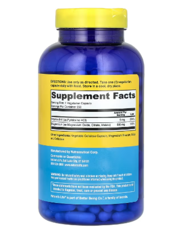 Nature's Life, Renewing Magnesium, 500 mg, 250 Capsules