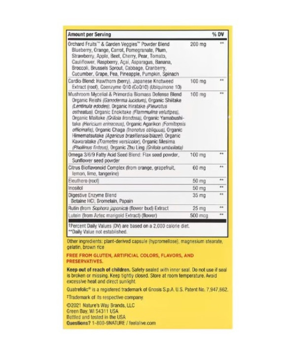 Nature's Way, Alive! Max6 Potency Multivitamin, No Added Iron, 90 Capsules