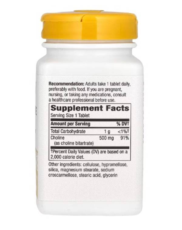 Nature's Way, Choline, 500 mg, 100 Vegan Tablets
