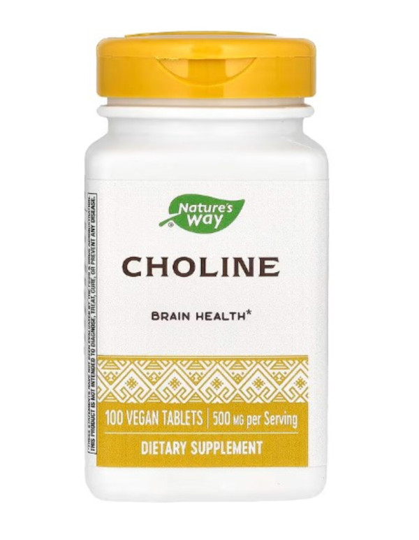 Nature's Way, Choline, 500 mg, 100 Vegan Tablets