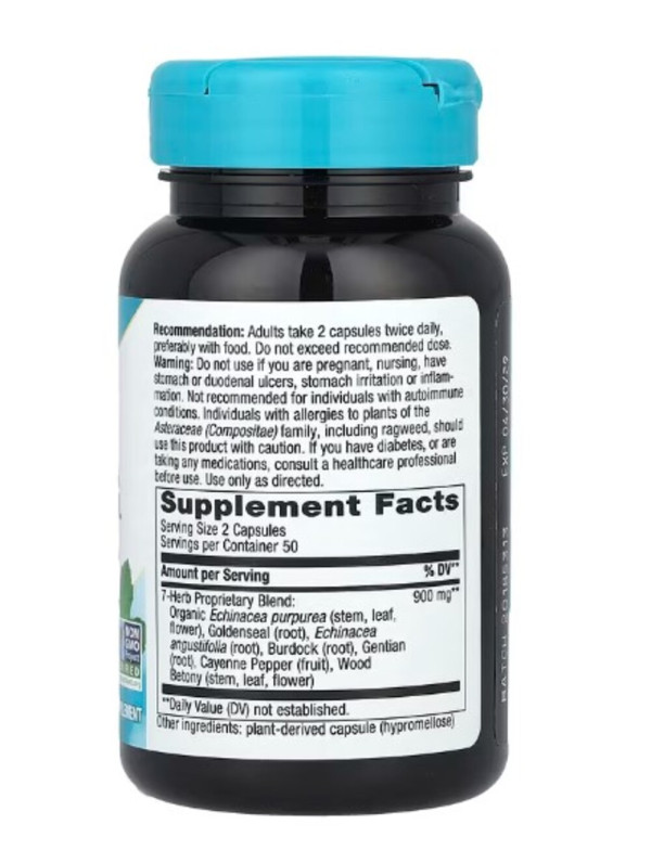 Nature's Way, Echinacea Goldenseal, 450 mg, 100 Vegan Capsules
