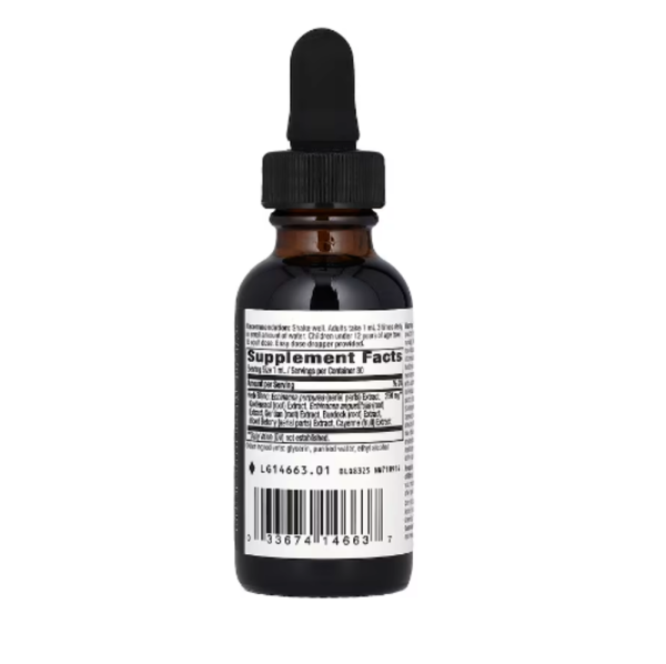 Nature's Way, Echinacea Goldenseal, 99.9% Alcohol Free , 1.01 fl oz (30 ml)