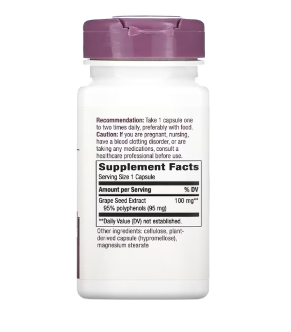 Nature's Way, Premium Extract, Grape Seed, 100 mg, 60 Vegan Capsules