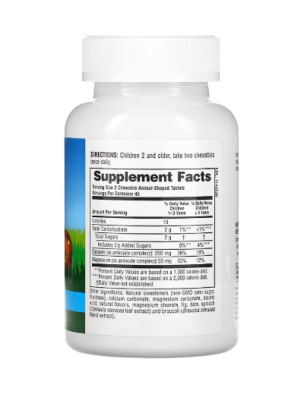 NaturesPlus, Animal Parade, Calcium, Children's Chewable Supplement, Vanilla Sundae, 90 Animal-Shaped Tablets