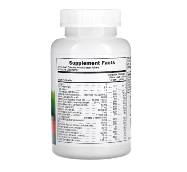 NaturesPlus, Animal Parade, Children's Chewable Multivitamin Supplement, Cherry, 180 Animal-Shaped Tablets