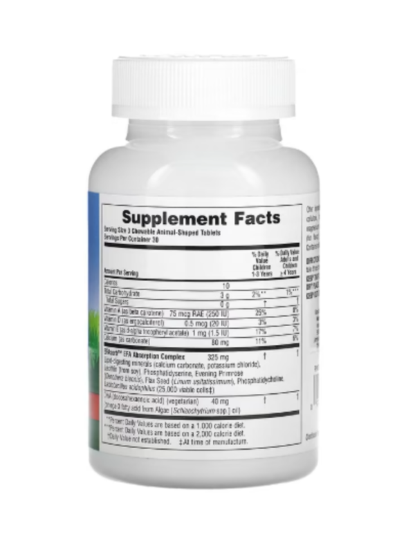 NaturesPlus, Animal Parade, DHA Kids, Children's Chewable Omega-3 Supplement, Cherry, 90 Animal-Shaped Tablets