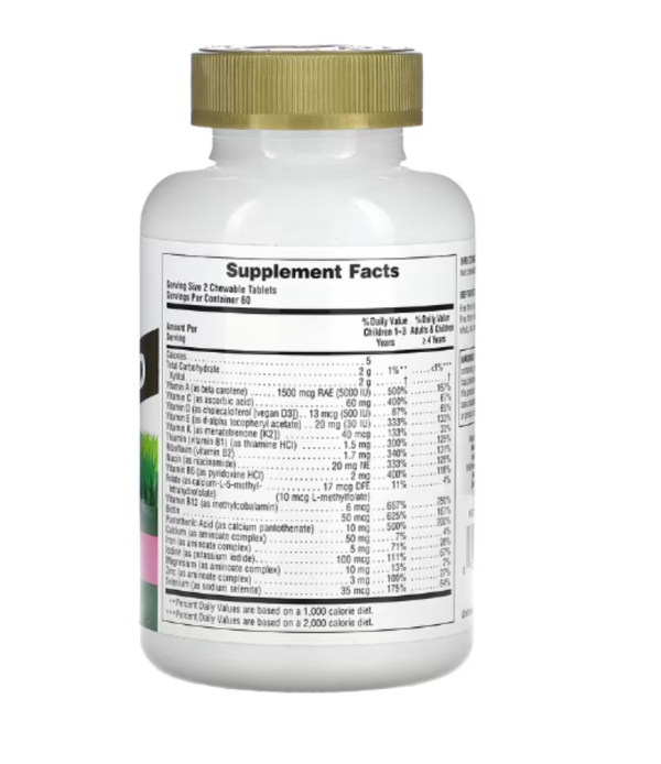 NaturesPlus, Animal Parade Gold, Children's Chewable Multivitamin Supplement, Watermelon, 120 Animal-Shaped Tablets