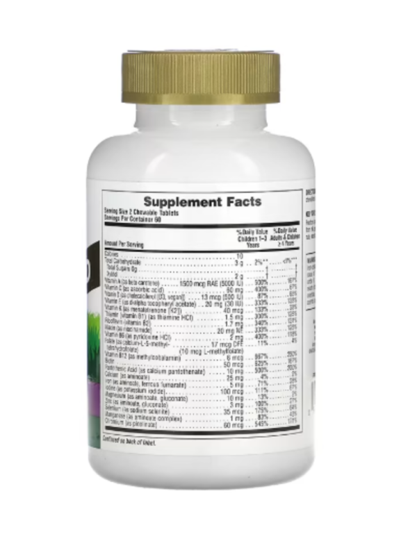 NaturesPlus, Animal Parade Gold, Children's Multivitamin Chewable Supplement, Grape, 120 Animal-Shaped Tablets