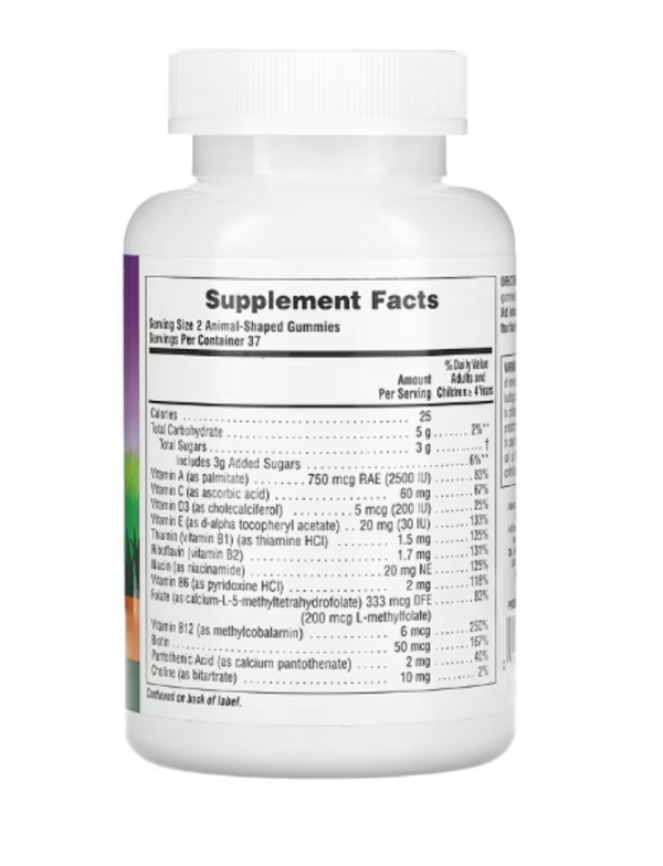 NaturesPlus, Animal Parade Gummies, Children's Multivitamin, Assorted Flavors, 75 Animal-Shaped Gummies