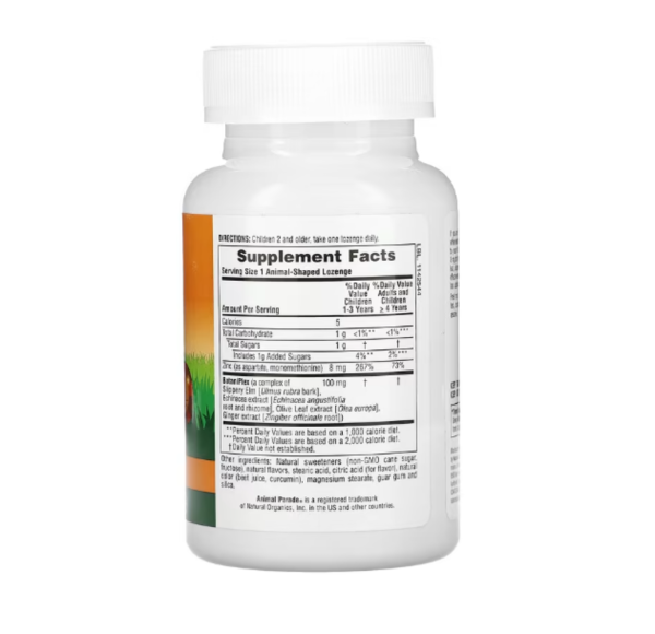 NaturesPlus, Animal Parade, Kid Zinc, Tangerine, 90 Animal-Shaped Lozenges