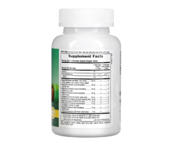 NaturesPlus, Animal Parade, Tummy Zyme, Tropical Fruit , 90 Animal-Shaped Tablets