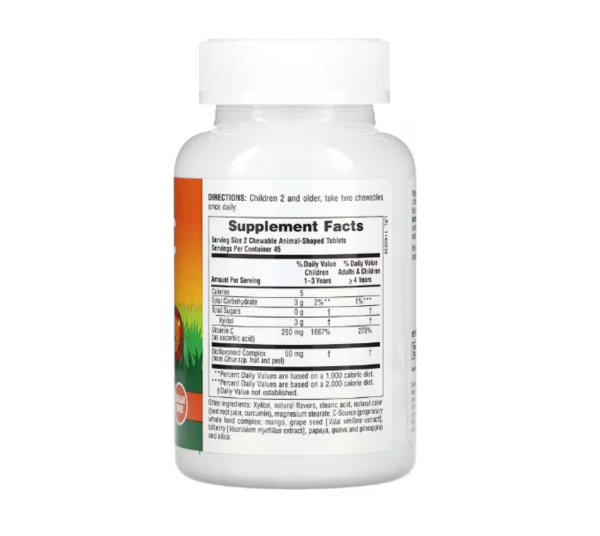 NaturesPlus, Animal Parade, Vitamin C, Children's Chewable Supplement, Sugar Free, Orange Juice, 90 Animal-Shaped Tablets