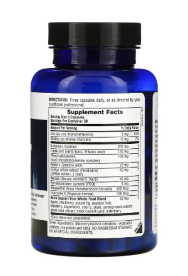 NaturesPlus, Brainceutix Boost, 90 Capsules
