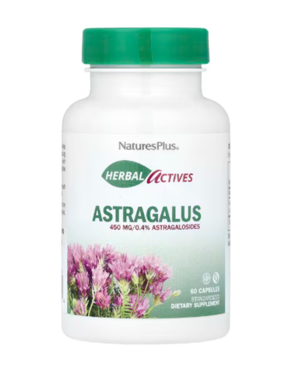 NaturesPlus, Herbal Actives, Astragalus, 450 mg, 60 Capsules