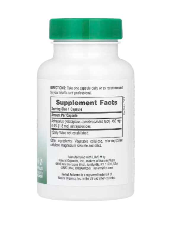 NaturesPlus, Herbal Actives, Astragalus, 450 mg, 60 Capsules